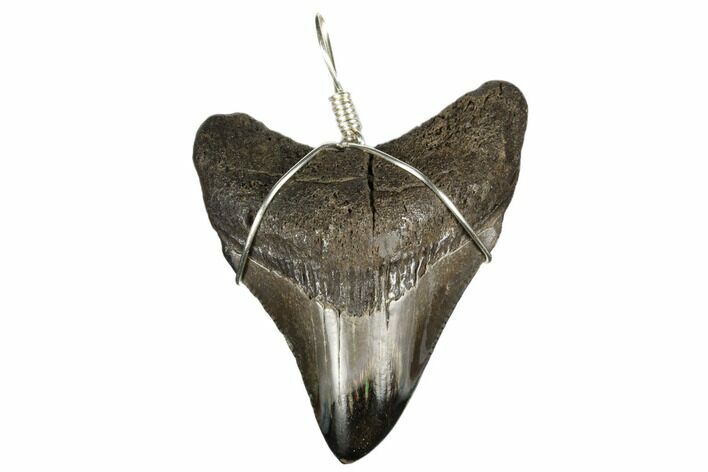 Fossil Megalodon Tooth Necklace #173820